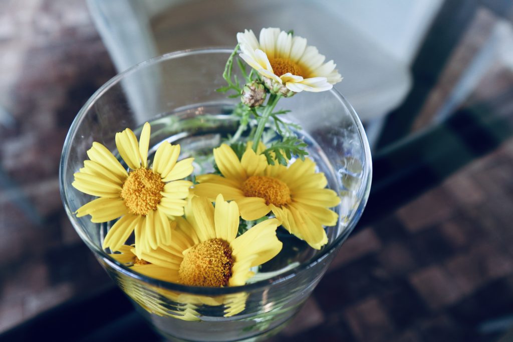 canon eos m100_撮影事例1