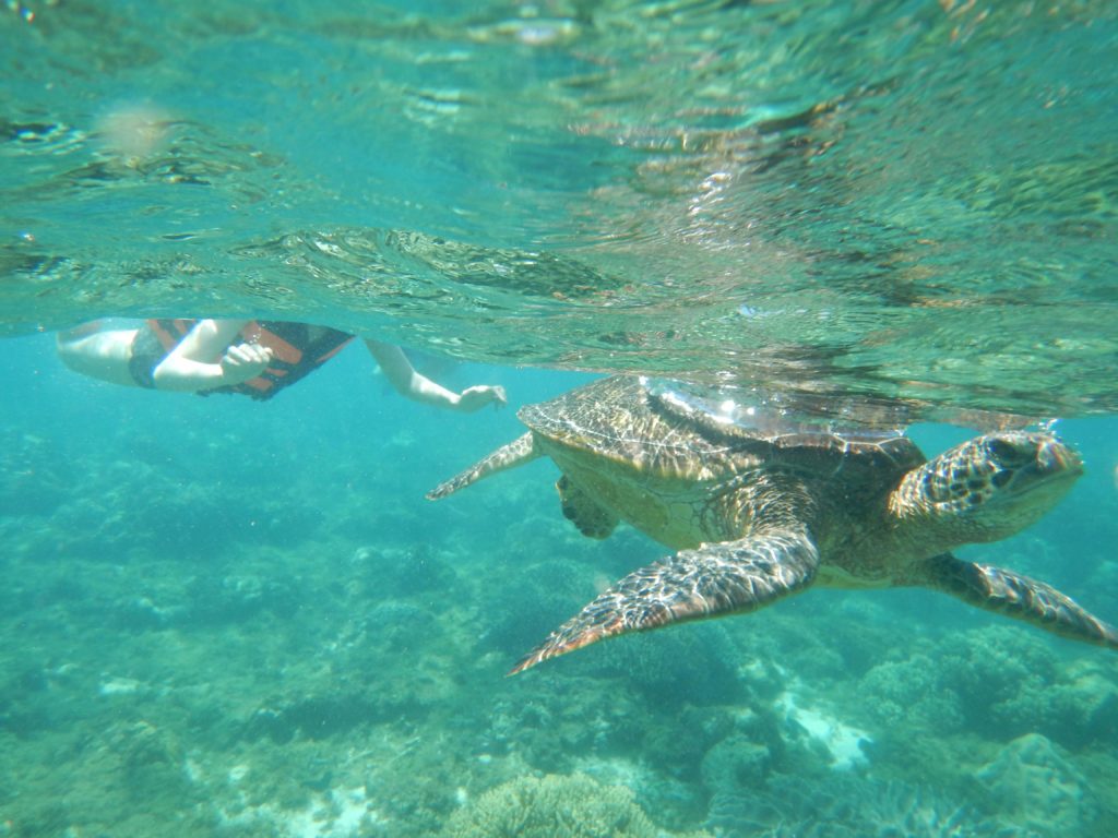 フィリピン留学 フィリピン移住 セブではなくドゥマゲテを選んだ理由